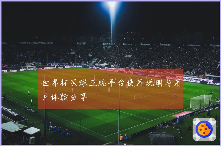 世界杯买球正规平台使用说明与用户体验分享