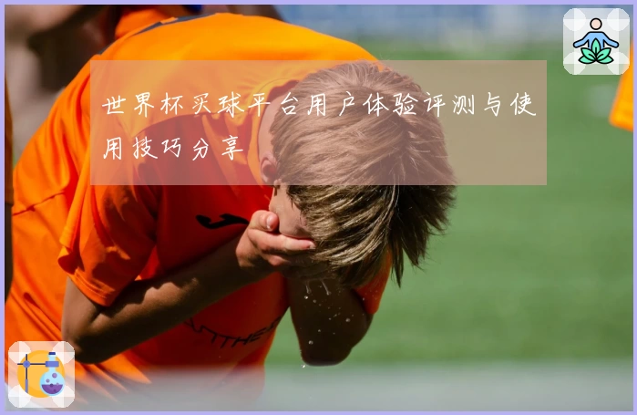 世界杯买球平台用户体验评测与使用技巧分享