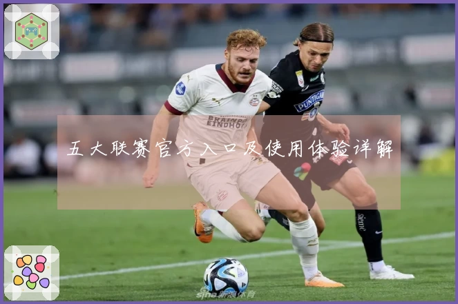 五大联赛官方入口及使用体验详解