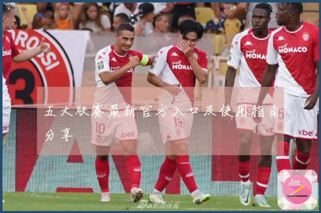 五大联赛最新官方入口及使用指南分享