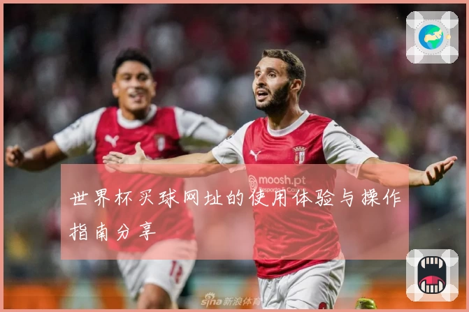 世界杯买球网址的使用体验与操作指南分享
