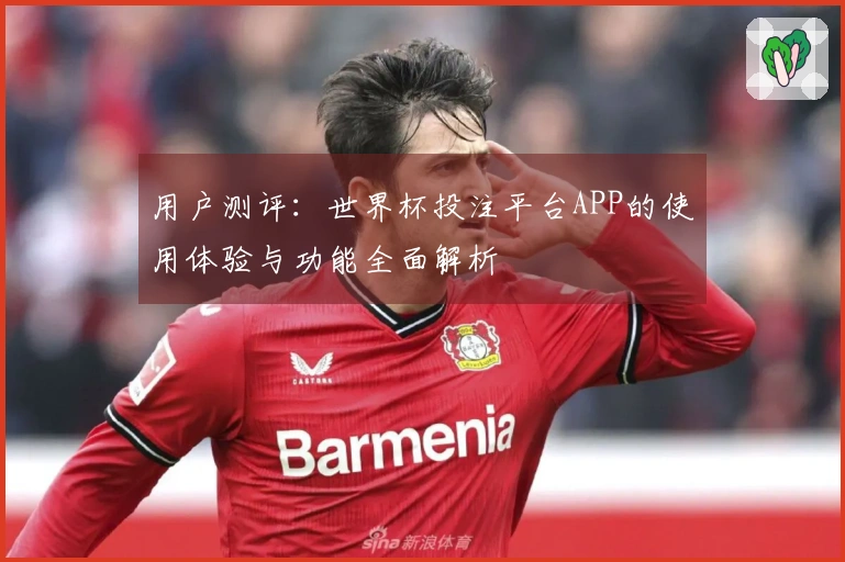 用户测评：世界杯投注平台APP的使用体验与功能全面解析