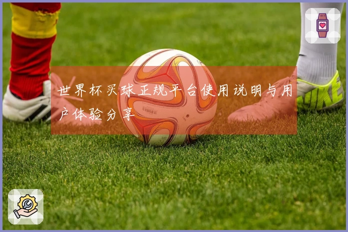 世界杯买球正规平台使用说明与用户体验分享