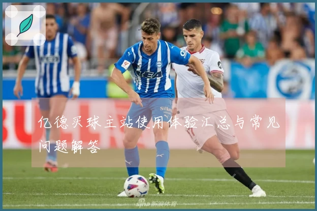 亿德买球主站使用体验汇总与常见问题解答