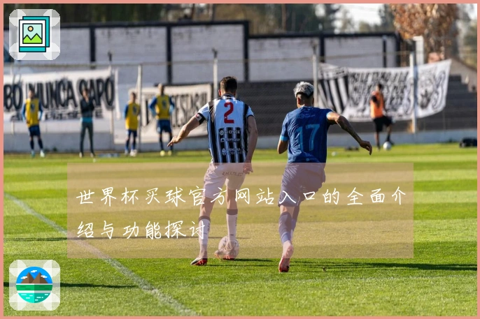世界杯买球官方网站入口的全面介绍与功能探讨