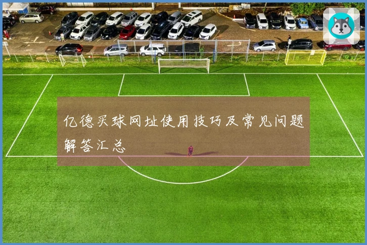 亿德买球网址使用技巧及常见问题解答汇总