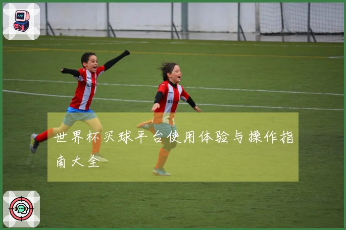 世界杯买球平台使用体验与操作指南大全