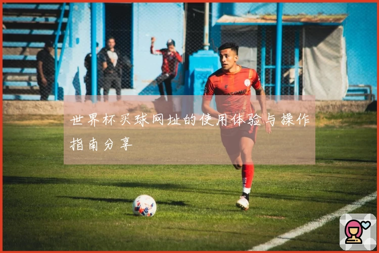 世界杯买球网址的使用体验与操作指南分享