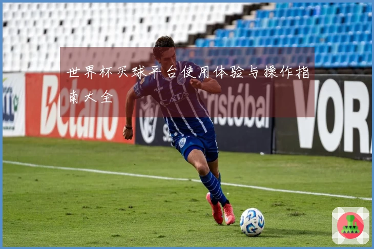 世界杯买球平台使用体验与操作指南大全