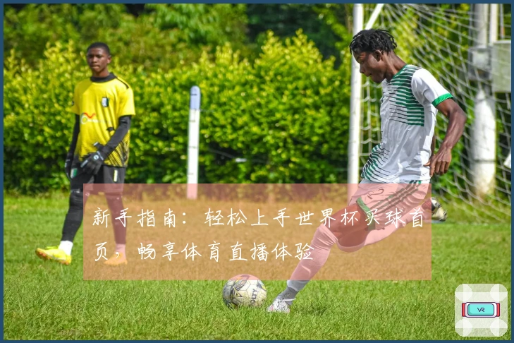 新手指南：轻松上手世界杯买球首页，畅享体育直播体验