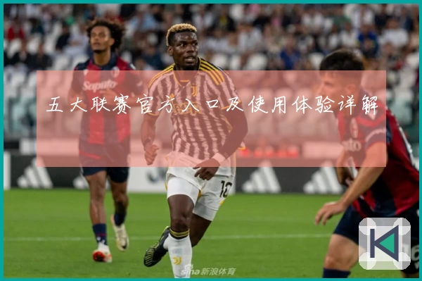 五大联赛官方入口及使用体验详解