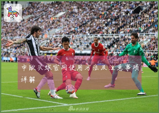 中欧买球官网使用方法及注意事项详解